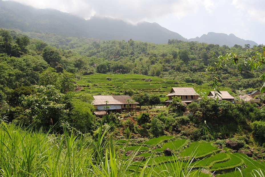 mai chau rice fields vietnam