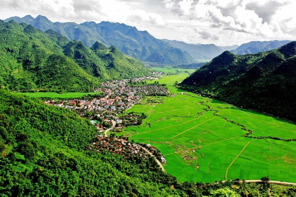 mai chau view, rice fields, vietnam