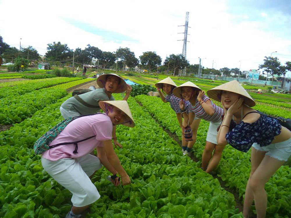 Village grow. Сиань фермеры едят.