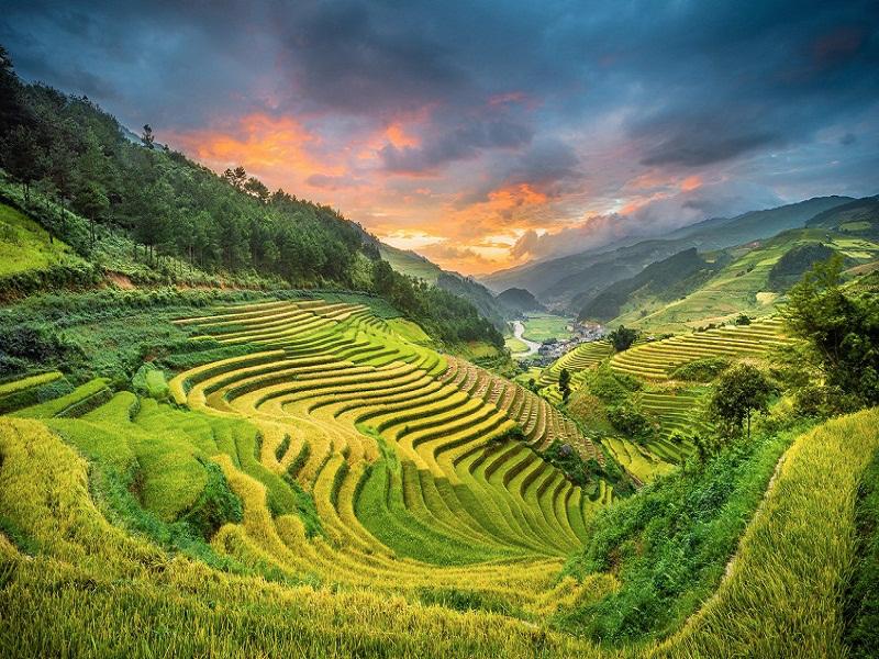 Beautiful terraces in the Summer