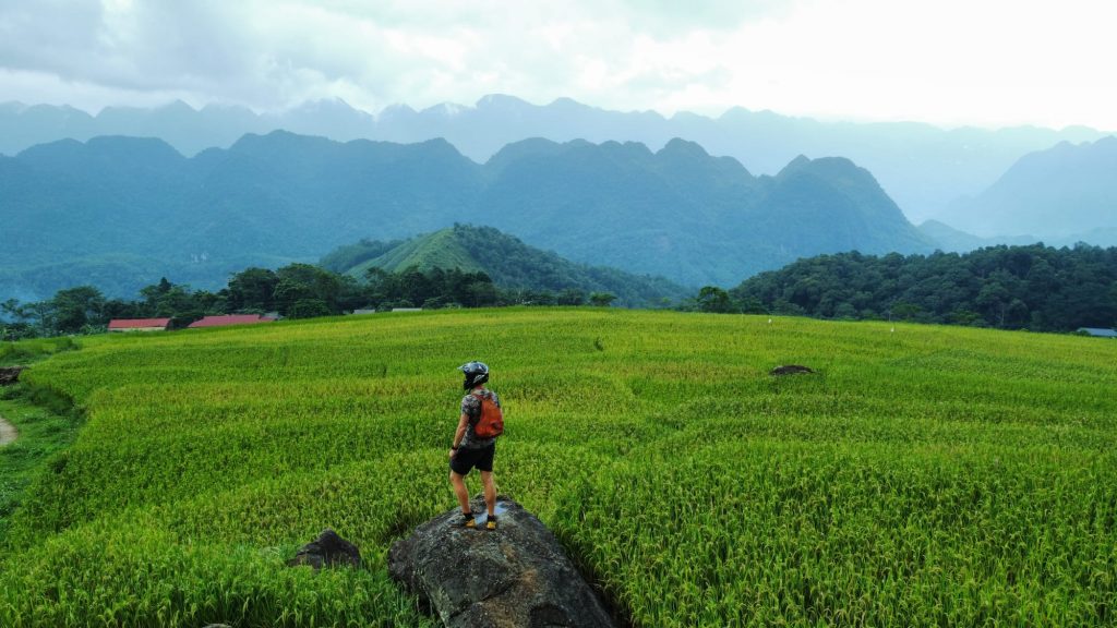 ricefields pu luong vietnam