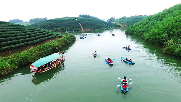 doi che thanh chuong tea field islands kayak