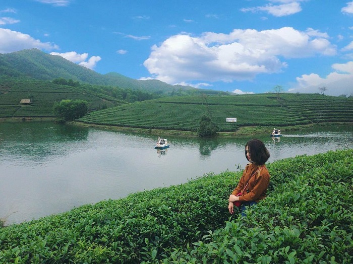 doi che thanh chuong tea field islands
