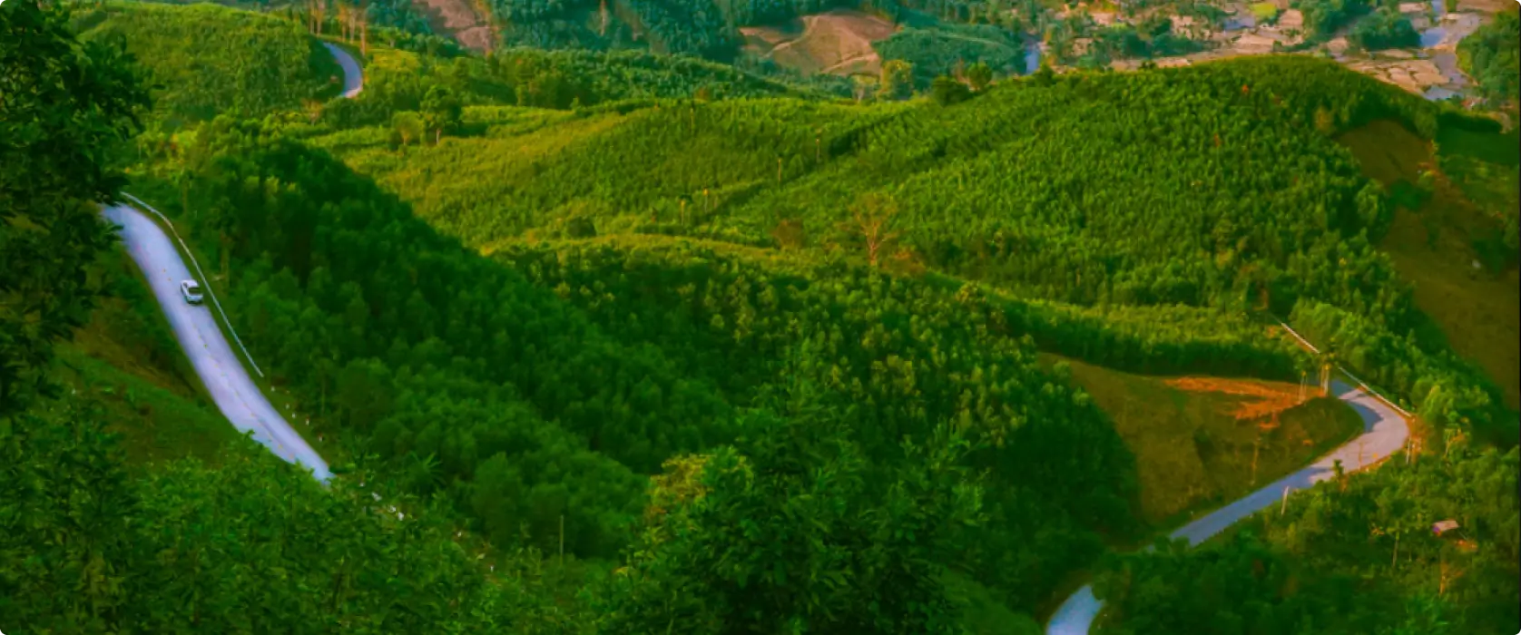 A winding road through the South of Vietnam