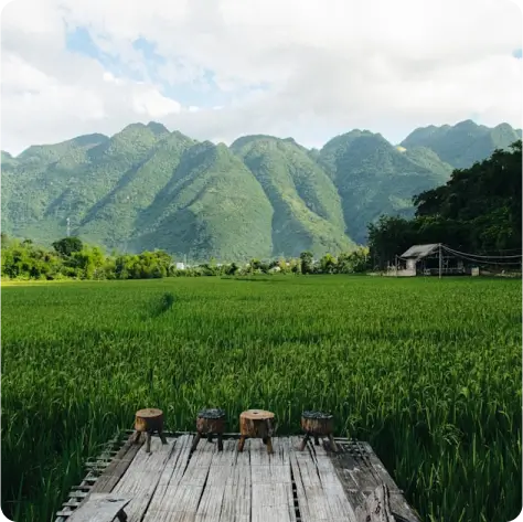 Mai Chau