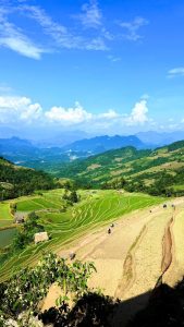 Breathtaking Rice Terraces (1 Day Tour)