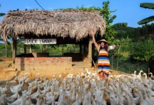 Phong Nha, Quang Binh 3 Duck Stop