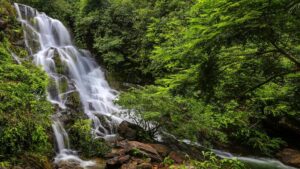 Phong Nha, Quang Binh