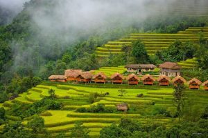 Nam Dam Village (3 & 6 Day Tours)