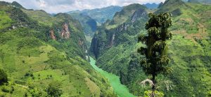 Nho Que River & Tu San Canyon (All Tours)