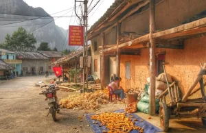 Pho Bang Ancient Town (All Tours)
