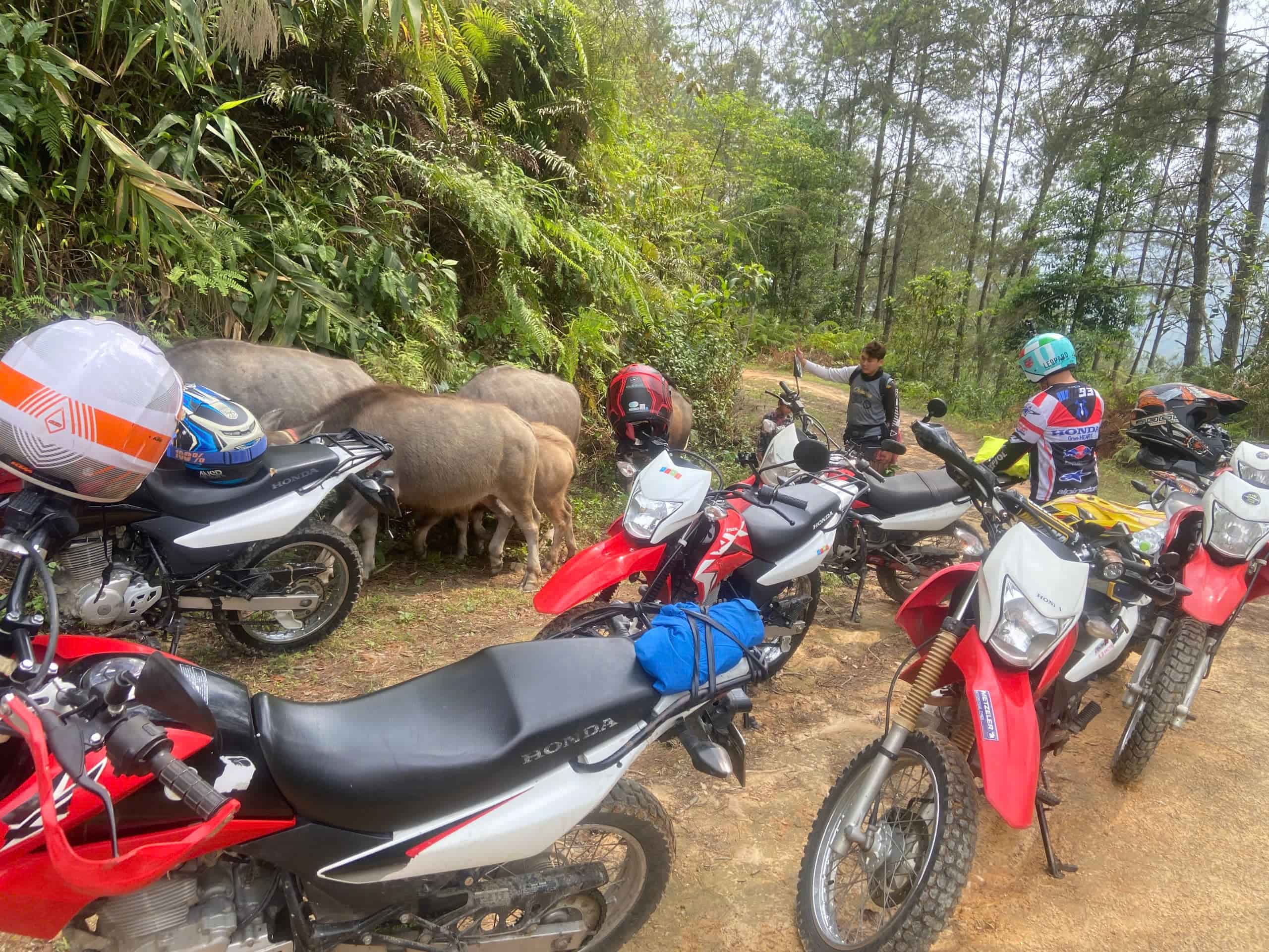 Jeep Tours