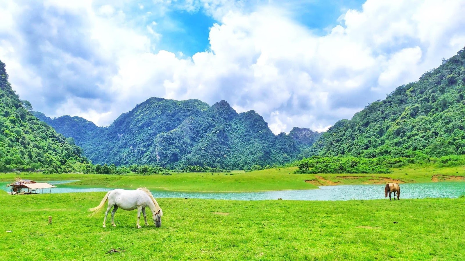 Summary Why Visit Bac Son