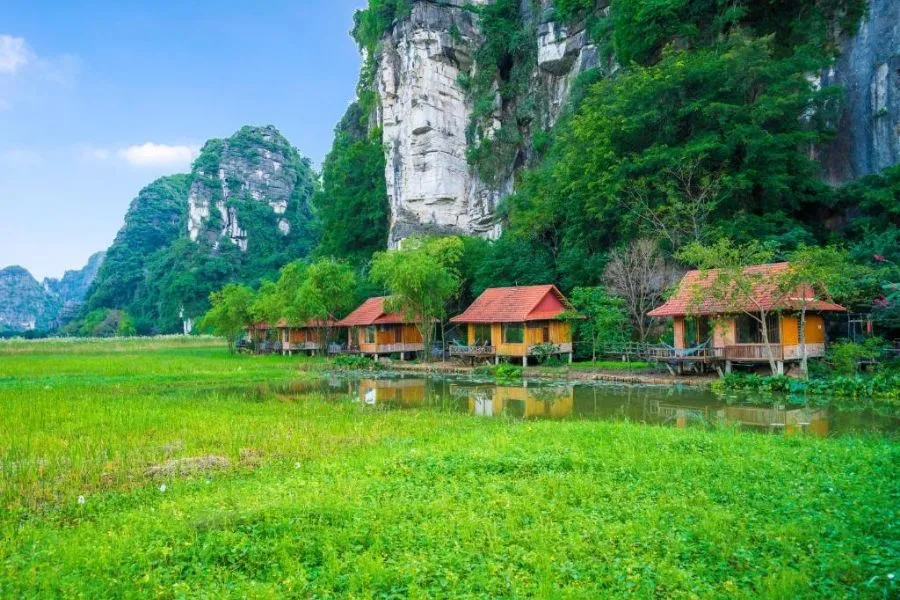 ninh binh homestay with limestone karsts and rice fields