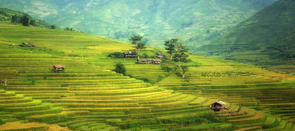 Na Hang, Tuyen Quang 3 hong thai rice fields near na hang