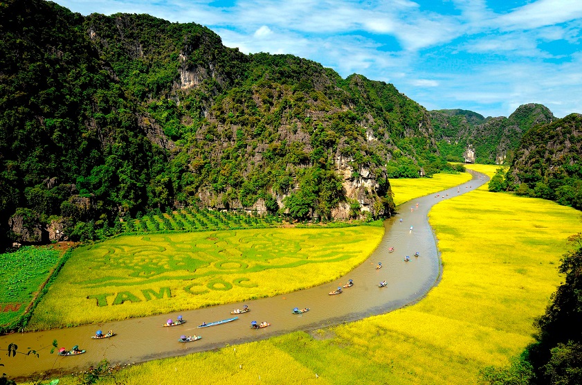 golden ricefield of tam coc near ninh binh
